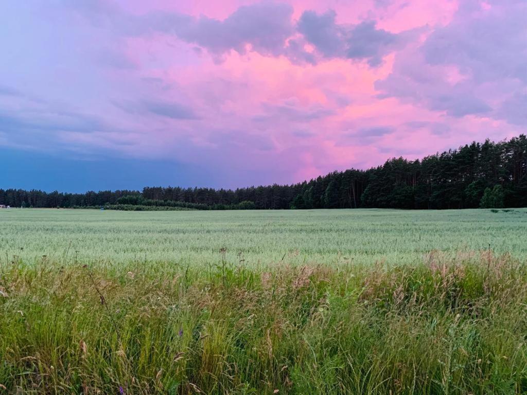 Kaszubka Villa Czarna Dabrowka Luaran gambar