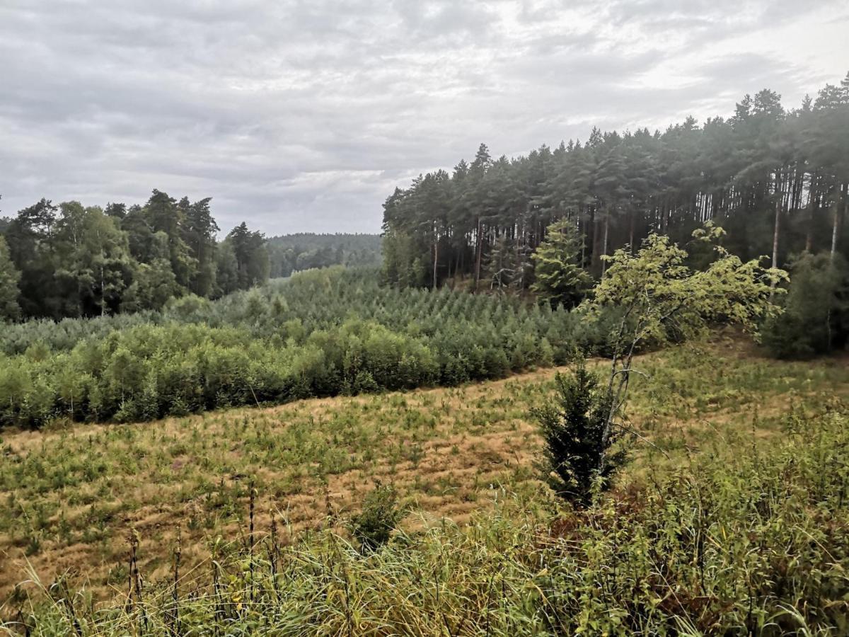 Kaszubka Villa Czarna Dabrowka Luaran gambar